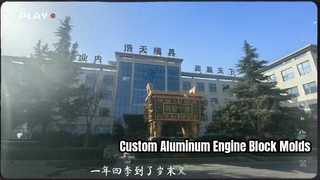 OEM-Aluminium-Motorblockform für Autoteile